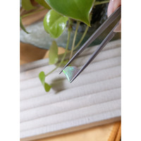 1.57 Ct. Crystal/Jelly Opal from Australia Life Style