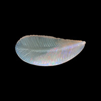 2.51 Ct. Crystal/Jelly Opal from Australia Video
