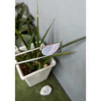 2.51 Ct. Crystal/Jelly Opal from Australia Life Style