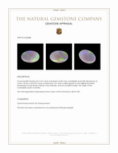 3.35 Ct. Cabochon Crystal/Jelly Opal from Australia Appraisal