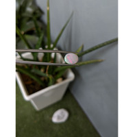 1.95 Ct. Cabochon White Opal from Australia Life Style