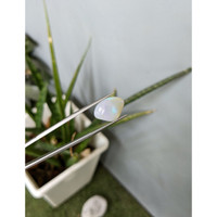 7.63 Ct. Cabochon Crystal/Jelly Opal from Australia Life Style