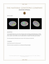 1.56 Ct. White Opal from Australia Appraisal