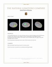 1.56 Ct. Multi Color White Opal (Light Opal) from Australia Appraisal