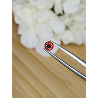 0.82 Ct. Garnet from Ceylon (Sri Lanka) Life Style