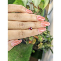 0.92 Ct. Garnet from Ceylon (Sri Lanka) Life Style