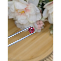 1.09 Ct. Garnet from Ceylon (Sri Lanka) Life Style