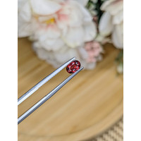 0.69 Ct. Garnet from Ceylon (Sri Lanka) Life Style