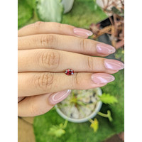 0.69 Ct. Garnet from Ceylon (Sri Lanka) Life Style