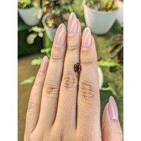 1.50 Ct. Garnet from Ceylon (Sri Lanka) Life Style