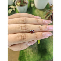 1.50 Ct. Garnet from Ceylon (Sri Lanka) Life Style