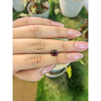 1.80 Ct. Garnet from Ceylon (Sri Lanka) Life Style