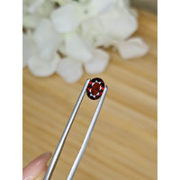 1.26 Ct. Garnet from Ceylon (Sri Lanka) Life Style