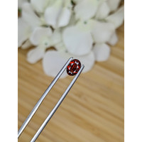 1.03 Ct. Garnet from Ceylon (Sri Lanka) Life Style