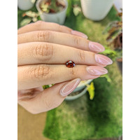 1.17 Ct. Garnet from Ceylon (Sri Lanka) Life Style