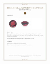 1.17 Ct. Red Rhodolite Garnet from Ceylon (Sri Lanka) Appraisal