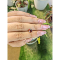 1.17 Ct. Rhodolite Garnet from Ceylon (Sri Lanka) Life Style