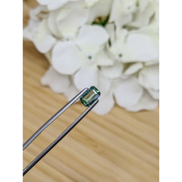 1.01 Ct. Prasiolite from Madagascar Life Style
