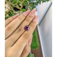 4.27 Ct. Garnet from Ceylon (Sri Lanka) Life Style