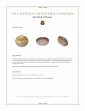 72.58 Ct. Brown Cabochon Rutilated Quartz from Ceylon (Sri Lanka) Appraisal