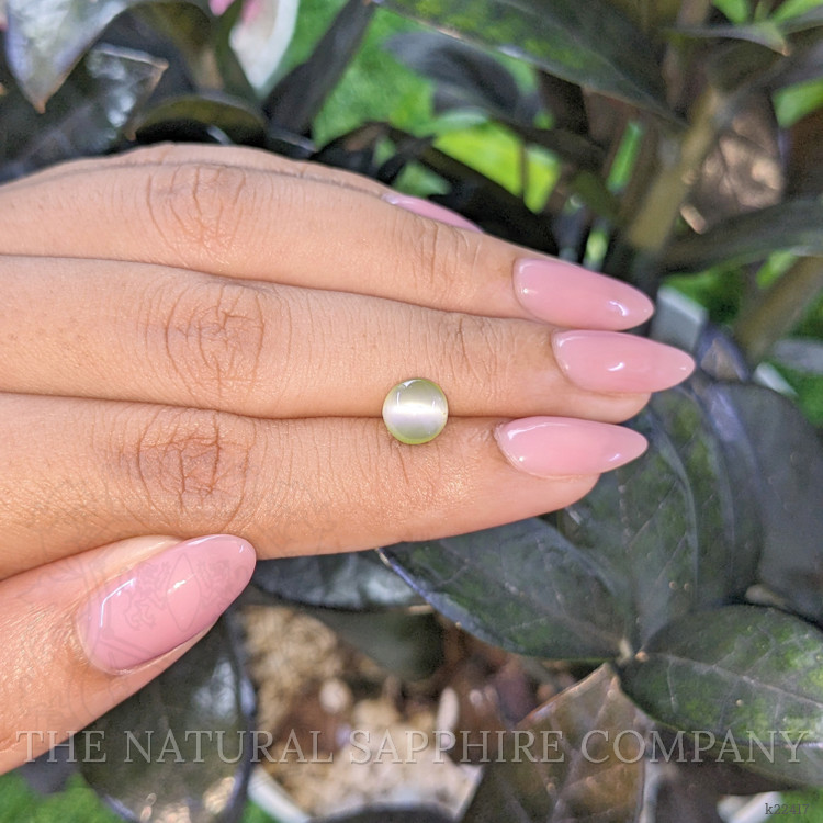 1.73 Ct. Cabochon Chrysoberyl from Ceylon (Sri Lanka)