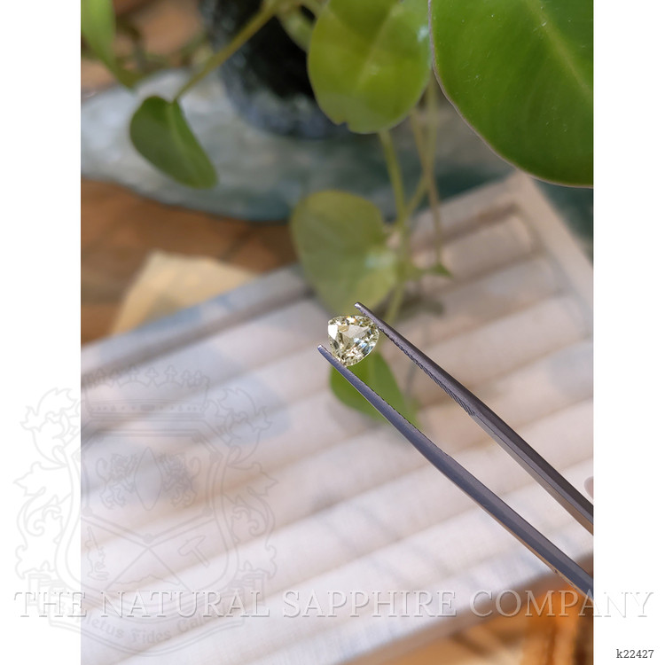 0.98 Ct. Mali Garnet from West Africa