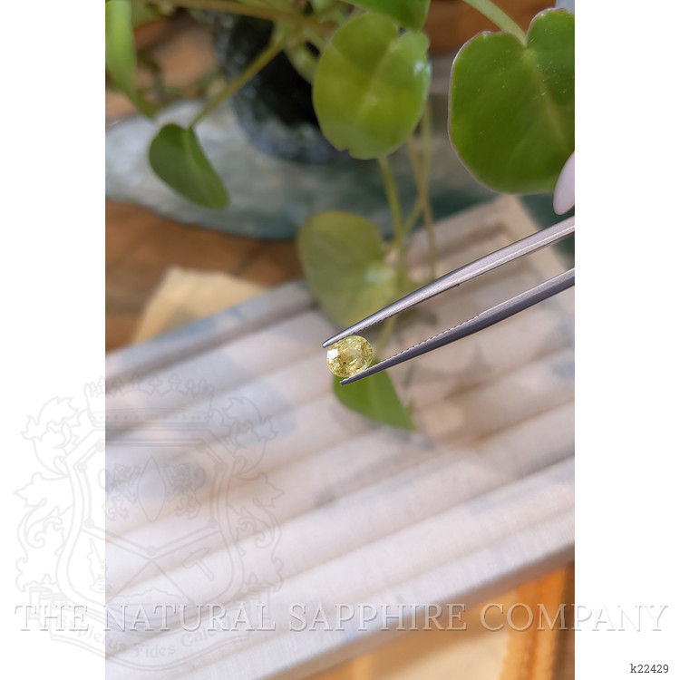 0.92 Ct. Mali Garnet from West Africa