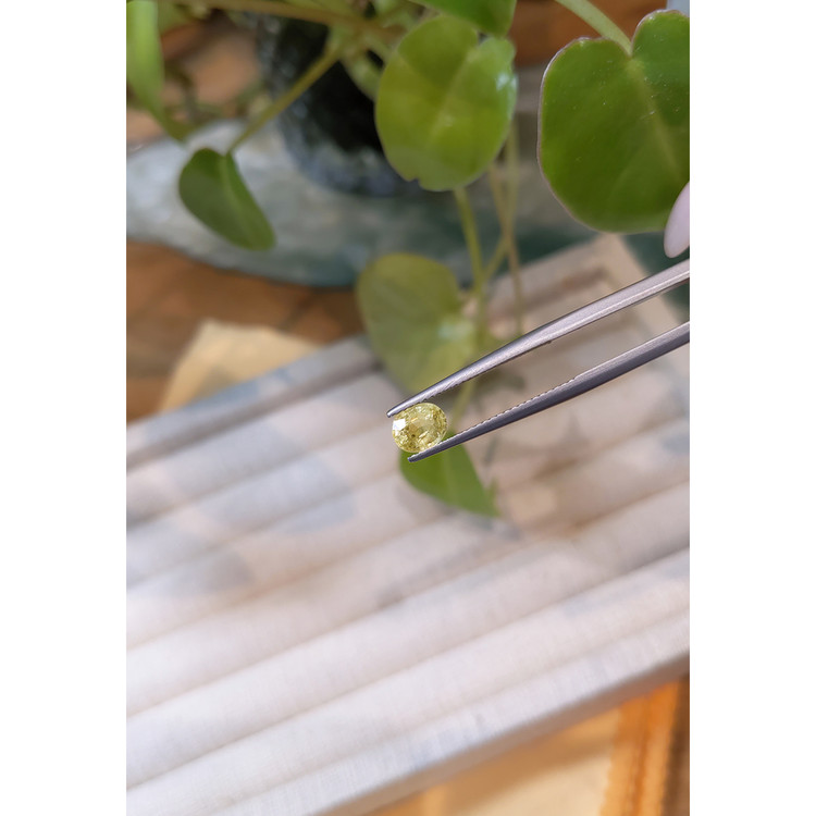 0.92 Ct. Mali Garnet from West Africa