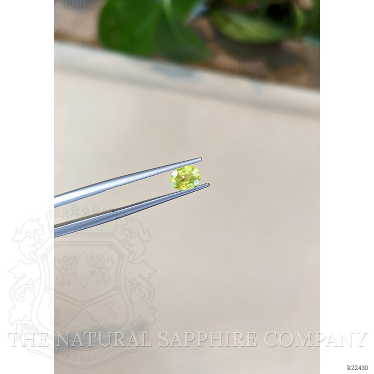0.82 Ct. Mali Garnet from West Africa