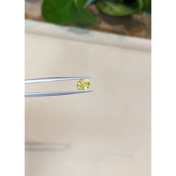 1.63 Ct. Mali Garnet from West Africa