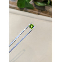 1.51 Ct. Yellowish Green Peridot from Burma (Myanmar) Life Style