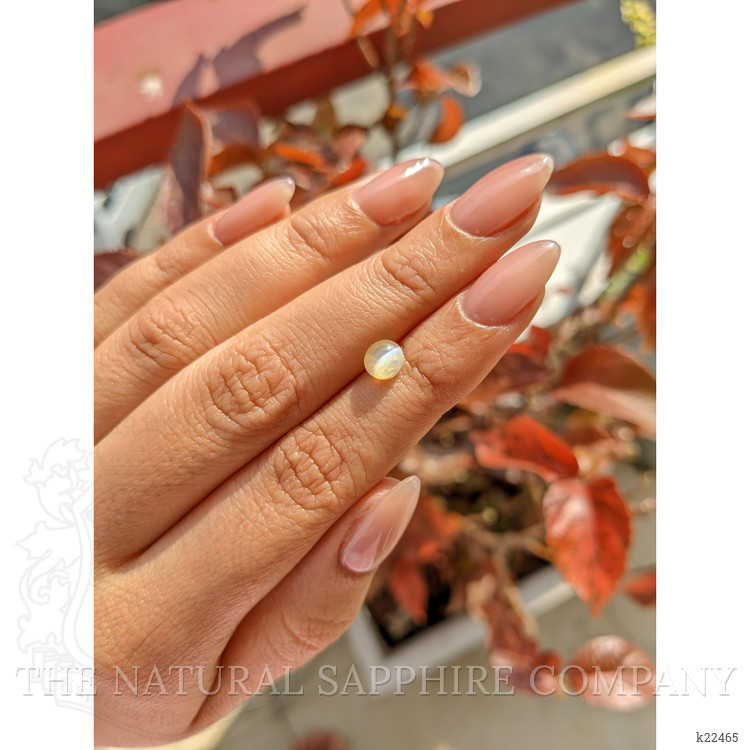 1.46 Ct. Cabochon Chrysoberyl from Ceylon (Sri Lanka)