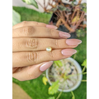 1.46 Ct. Cabochon Chrysoberyl from Ceylon (Sri Lanka) Life Style