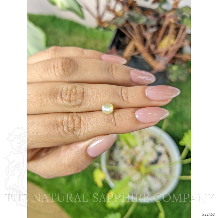 1.46 Ct. Cabochon Chrysoberyl from Ceylon (Sri Lanka)