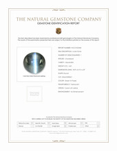 Jewelry Scan Report