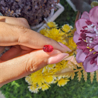 2.54 Ct. Spinel from Tanzania Life Style