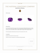 4.46 Ct. Purple Amethyst from Brazil Appraisal