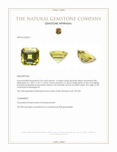 9.02 Ct. Greenish Yellow Chrysoberyl from Madagascar Appraisal