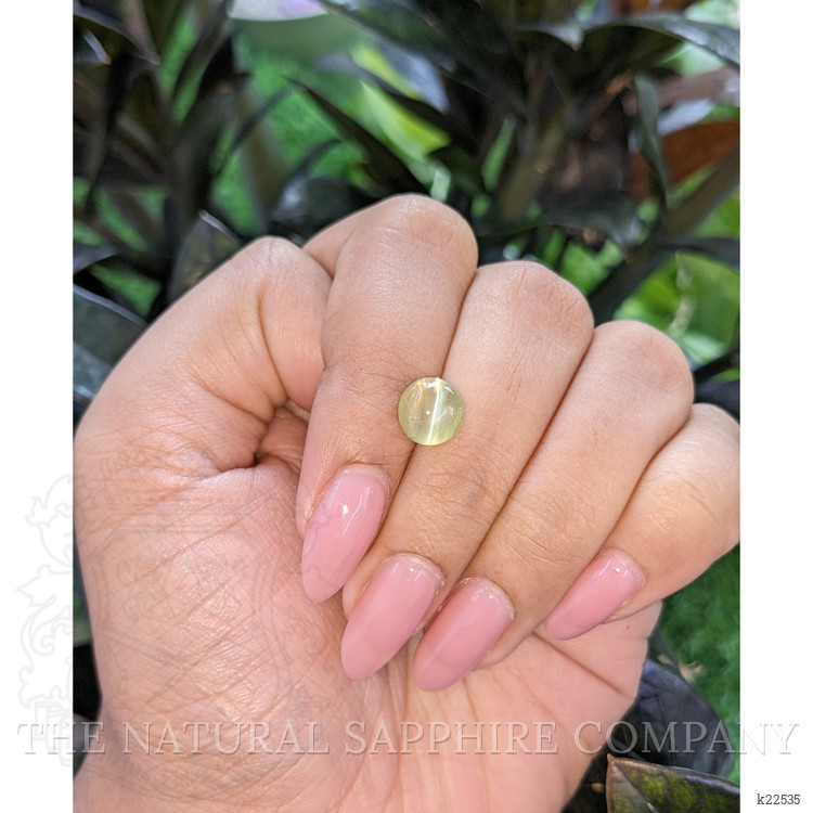 3.01 Ct. Yellowish Green Cabochon Chrysoberyl from Ceylon (Sri Lanka)