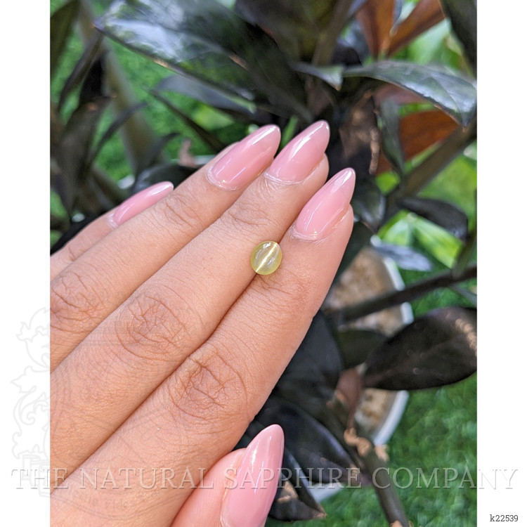1.44 Ct. Greenish Yellow Cabochon Chrysoberyl from Madagascar