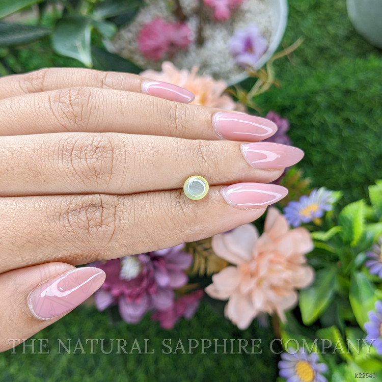 1.58 Ct. Greenish Yellow Cabochon Chrysoberyl from Ceylon (Sri Lanka)