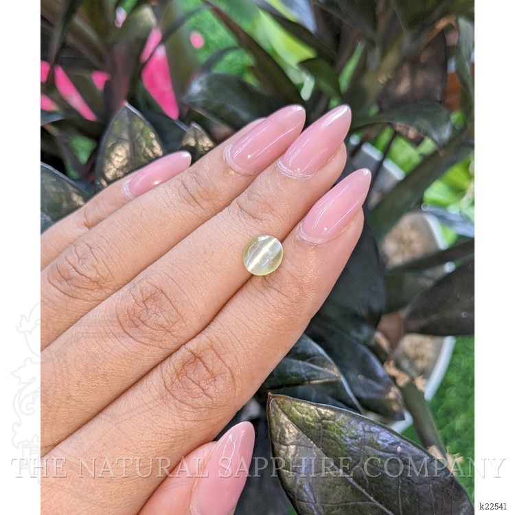 1.75 Ct. Green Cabochon Chrysoberyl from Madagascar