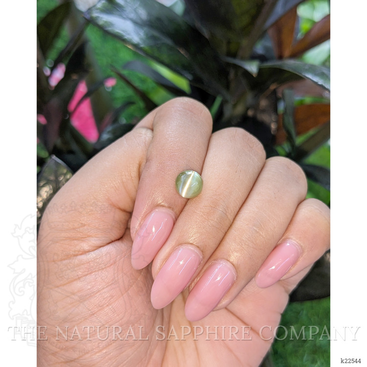 2.02 Ct. Green Cabochon Chrysoberyl from Ceylon (Sri Lanka)