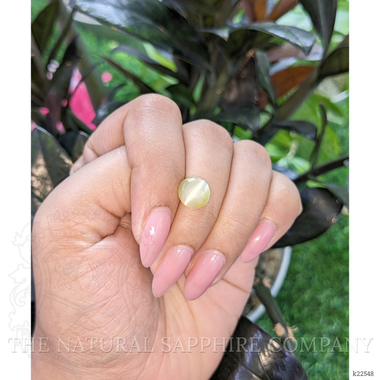 3.57 Ct. Greenish Yellow Cabochon Chrysoberyl from Ceylon (Sri Lanka)