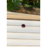 2.79 Ct. Garnet from Mozambique Life Style