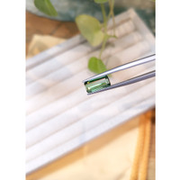 2.79 Ct. Tourmaline from Mozambique Life Style