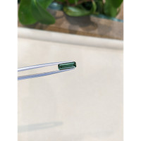 1.77 Ct. Tourmaline from Mozambique Life Style