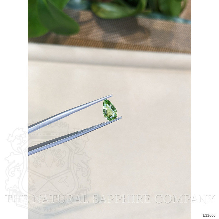 1.68 Ct. Green Tourmaline from Mozambique