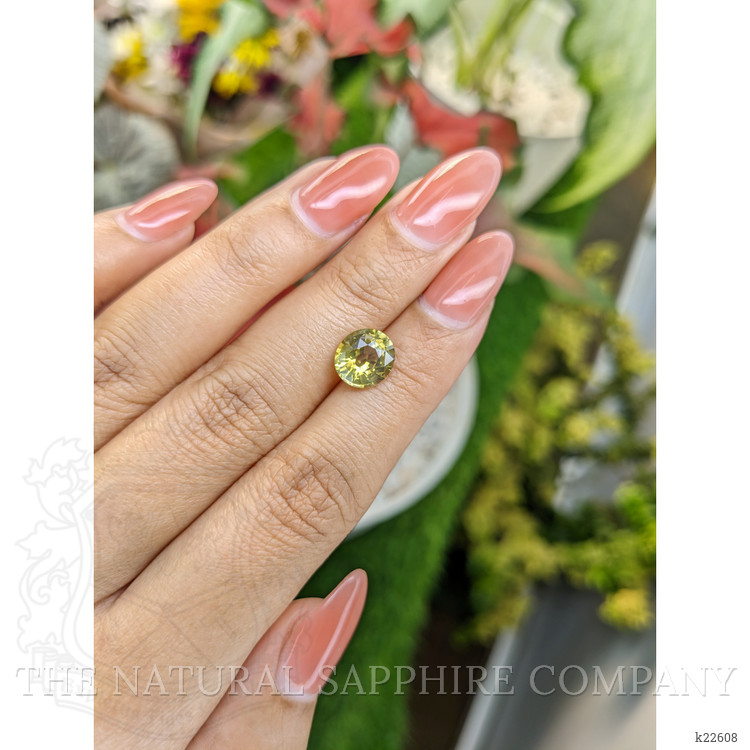 2.59 Ct. Chrysoberyl from Ceylon (Sri Lanka)