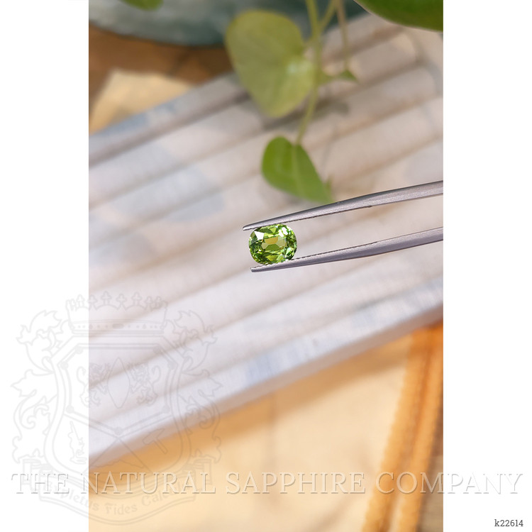 1.46 Ct. Peridot from Afghanistan